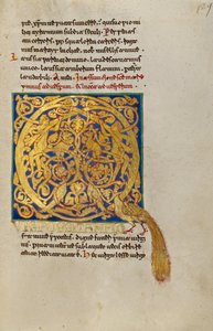 Bewohntes Initial Q von Unbekannt Unbekannt